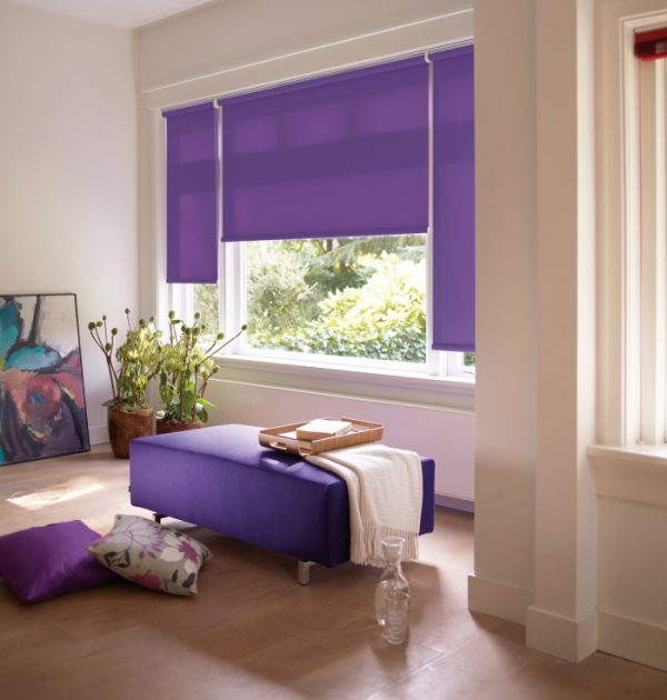 blinds DialaCurtain Kerikeri