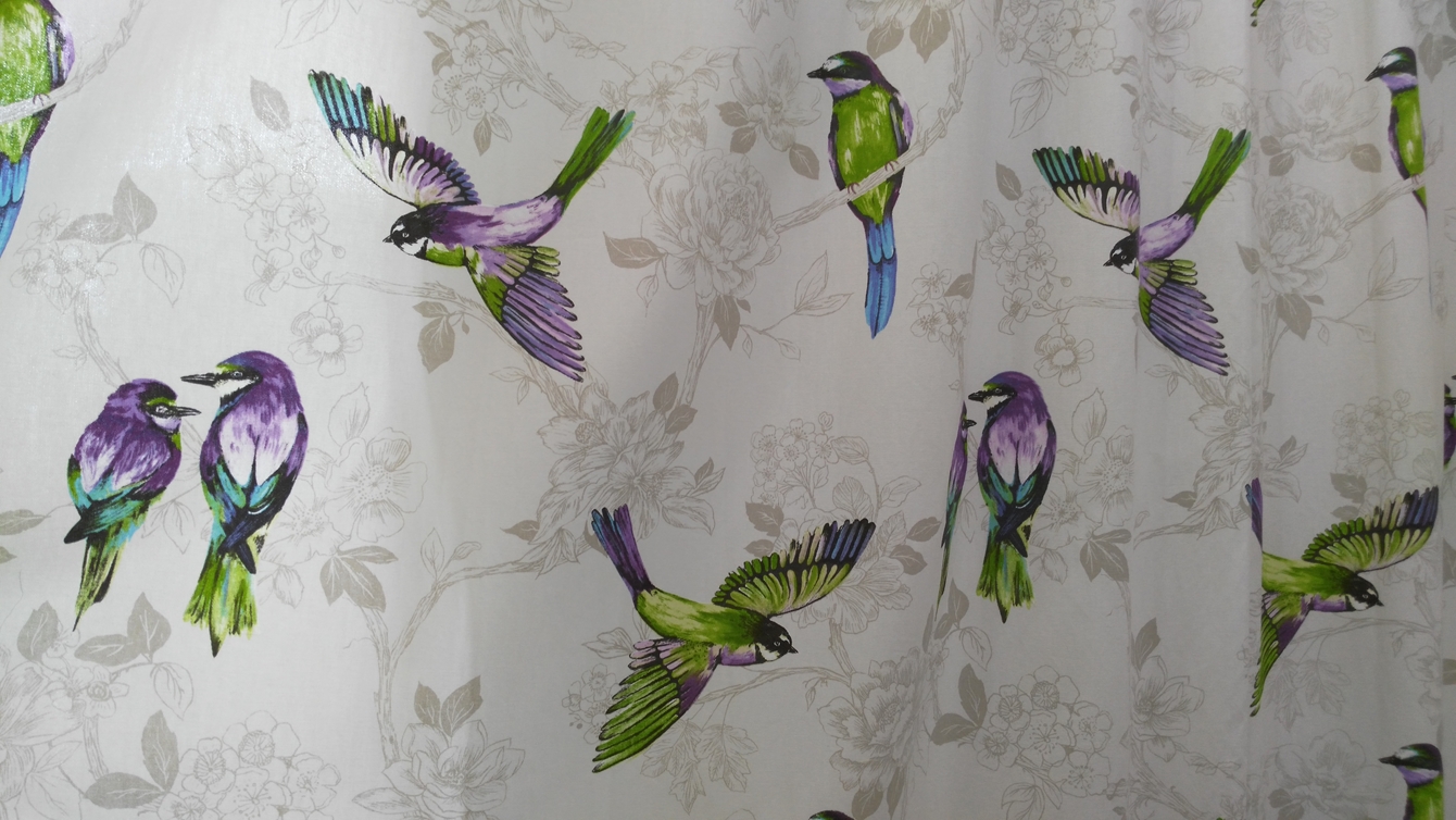 Modern bird curtains