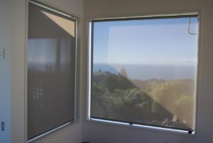 transparent blinds